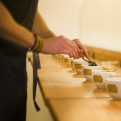 Atelier Formation Café - Culture Café & Dégustation  | Vente en Ligne