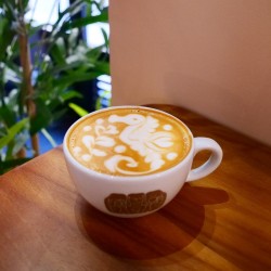 Atelier Formation Café - Expresso fondation  | Vente en Ligne
