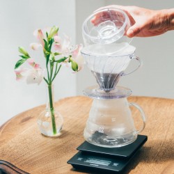 HARIO V60 DRIP ASSIST