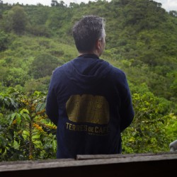 café de spécialité Terres de café - Café Bourbon South Huila