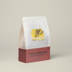 café de spécialité Terres de café - Café Finca Himalaya - Bourbon Rouge