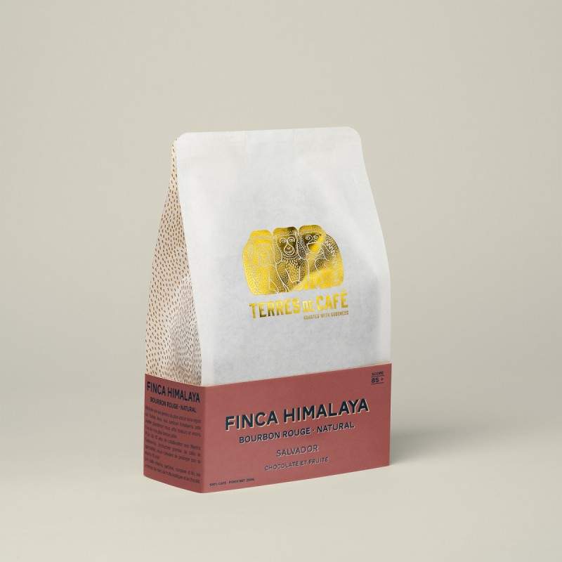 café de spécialité Terres de café - Café Finca Himalaya - Bourbon Rouge