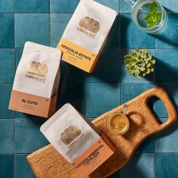 café de spécialité Terres de café - Café El Cuto