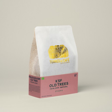 Specialty coffee by Terres de Café - Coffee KSF Old Trees