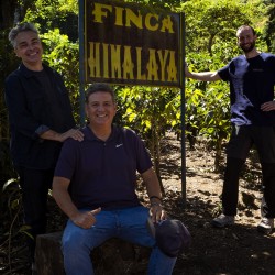 café de spécialité Terres de café - Café Finca Himalaya - SL28