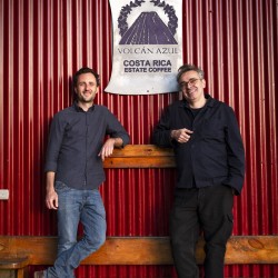 Specialty coffee by Terres de Café - Coffee Volcan Azul - Typica Lima