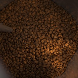 café de spécialité Terres de café - Café Heirloom Wallaga - KG