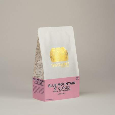 Specialty coffee by Terres de Café - Coffee Blue Mountain