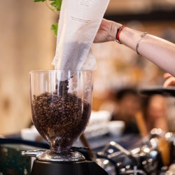 Specialty coffee by Terres de Café - Coffee Volcancito