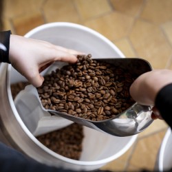 café de spécialité Terres de café - Café Organic Expresso Bio - KG