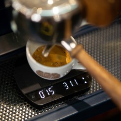 café de spécialité Terres de café - Café Barista - KG