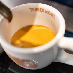 café de spécialité Terres de café - Café El Cuto - KG