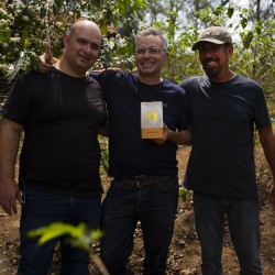 Specialty coffee by Terres de Café - Coffee Bob-O-Link Bio