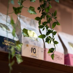 Specialty coffee by Terres de Café - Coffee 10 Blend