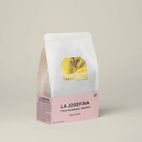 café de spécialité Terres de café - Café La Josefina - Typica Mejorado Lavé