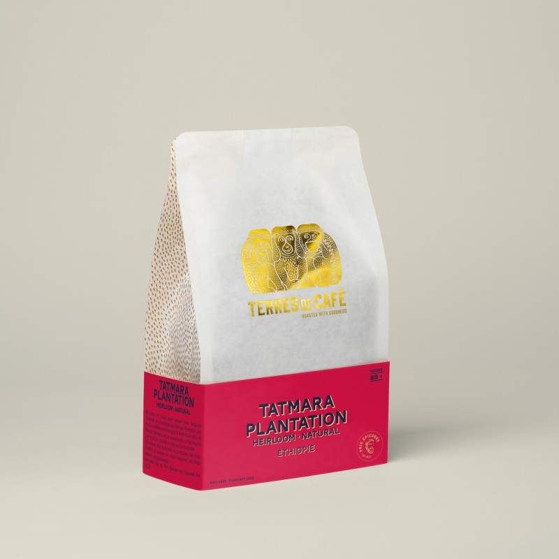Specialty coffee by Terres de Café - Coffee Tatmara Heirloom natural