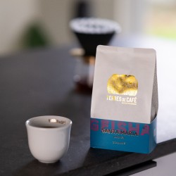 café de spécialité Terres de café - Café Finca Santa Maria - Geisha Lavé