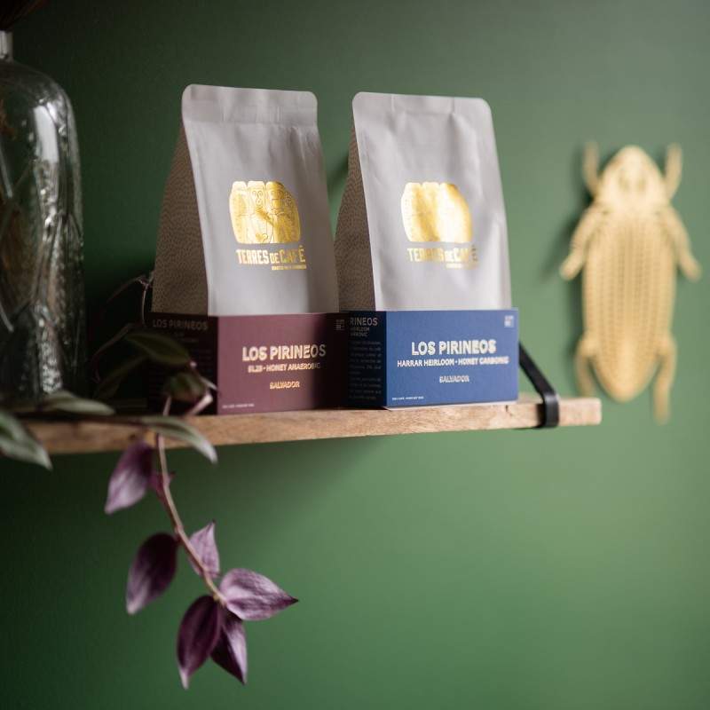 Abonnement Café en Grain de Spécialité, Sans Engagement. Box Café en ligne