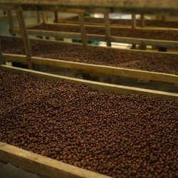 Café Blend Parcelles - Équateur | Vente en Ligne