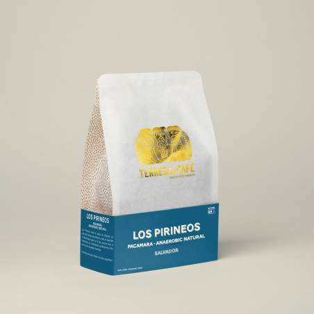 café de spécialité Terres de café - Café Los Pirineos - Pacamara