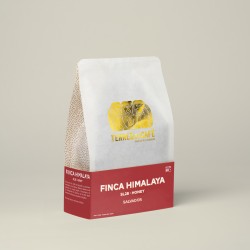 café de spécialité Terres de café - Café Finca Himalaya - SL28