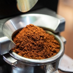 café de spécialité Terres de café - Café Volcan Azul Caturra - KG