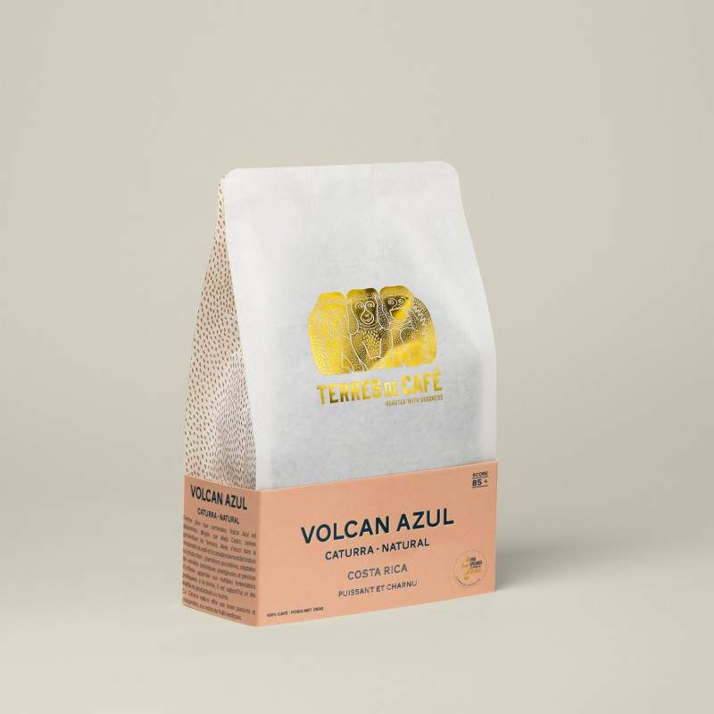 café de spécialité Terres de café - Café Volcan Azul - Caturra