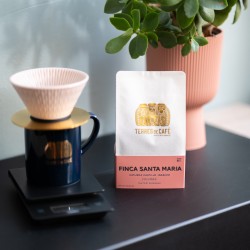 Specialty coffee by Terres de Café - Coffee Finca Santa Maria Caturra - Washed