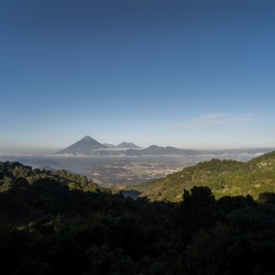 Specialty coffee by Terres de Café - Coffee El Morito Geisha - Anaerobic Washed