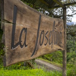 Specialty coffee by Terres de Café - Coffee La Josefina Sidra Anaerobic Washed