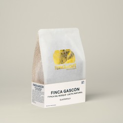 café de spécialité Terres de café - Café Finca Gascón Typica Del Bosque Lactic Natural