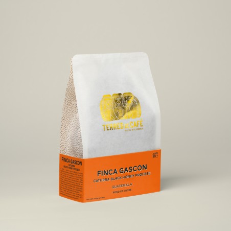 café de spécialité Terres de café - Café Finca Gascón Caturra Black Honey Process