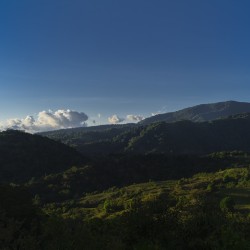 café de spécialité Terres de café - Finca Hartmann - Maragogype Lavé - Légendes