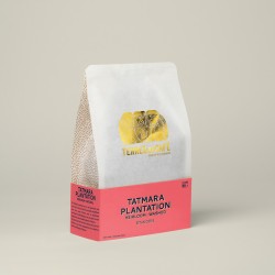 Specialty coffee by Terres de Café - Coffee Tatmara Plantation - Washed