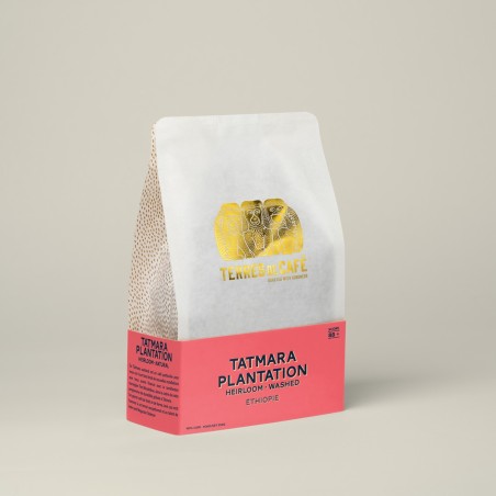Specialty coffee by Terres de Café - Coffee Tatmara Plantation - Washed