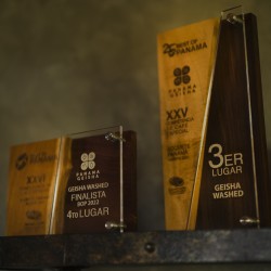 Specialty coffee by Terres de Café - Ratibor & Tessie Hartmann - Mi Finquita - Geisha Dark Night - Légendes