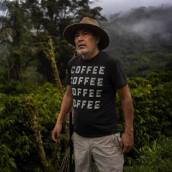 café de spécialité Terres de café - Café La Josefina - Typica Mejorado Lavé