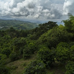 Légendes - Paul Doyle - La Mikava  - Colombie | Terres de Café | Vente en ligne