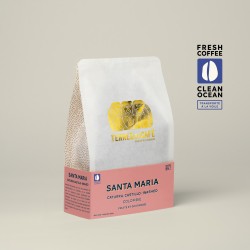 Café Finca Santa Maria Caturra - Lavé  | Café de spécialité | Vente en Ligne