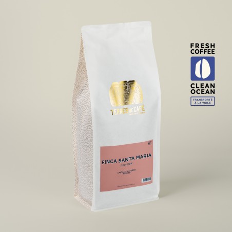 Café Finca Santa Maria Caturra Lavé - KG | Café de spécialité | Vente en Ligne