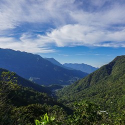 Café de spécialité | Café Marcelino Peréz - Natural I Vente en ligne