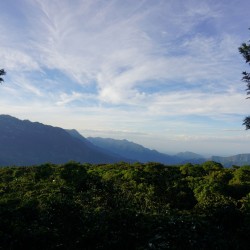 Café de spécialité | Café Thomas Guzmán Geisha Nature I Vente en ligne
