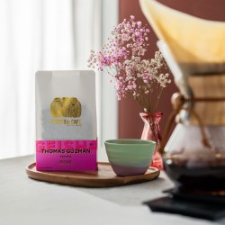 Café de spécialité | Café Thomas Guzmán Geisha Nature I Vente en ligne