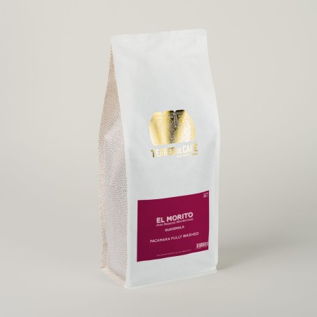 Café de spécialité | Café El Morito Pacama Fully Washed  KG I Vente en ligne