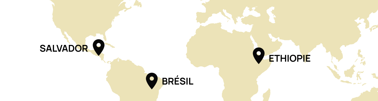 Origine Brésil, Salvador, Ethiopie