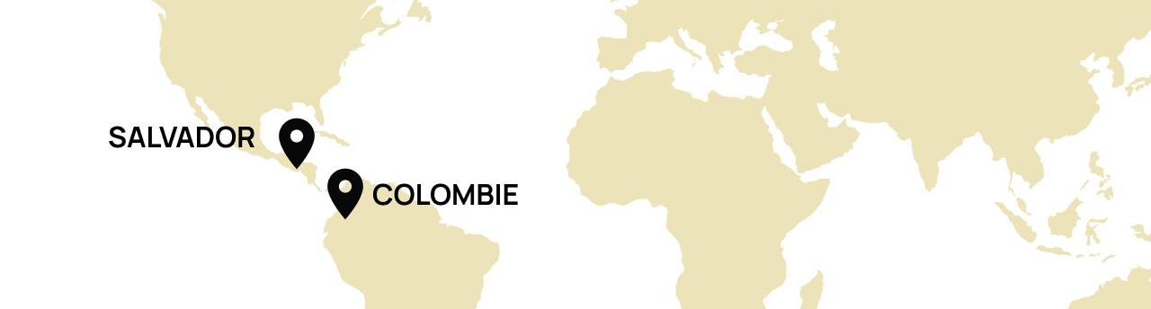 Origine Colombie, Salvador