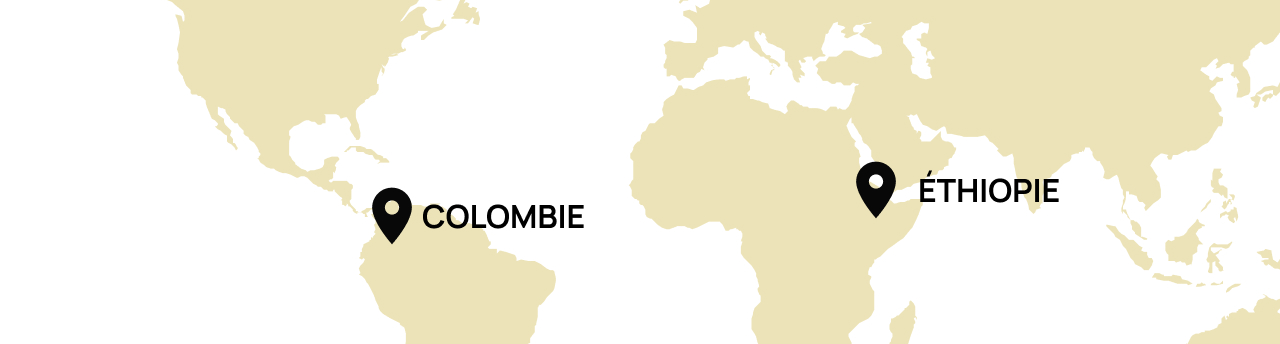 Origine Ethiopie, Colombie
