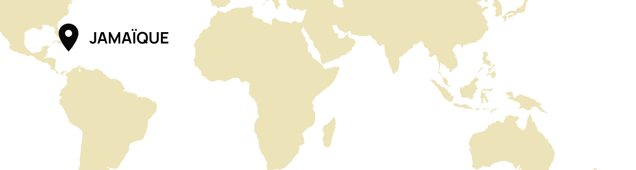 Origine Jamaique