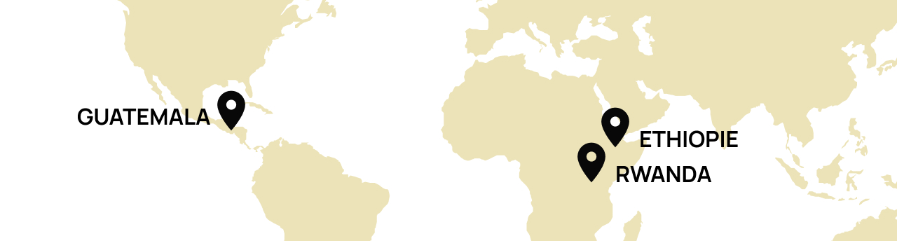 Origine Rwanda, Ethiopie, Guatemala
