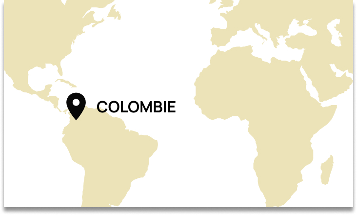 Origine Colombie